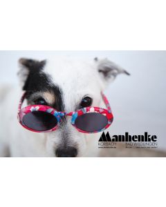 Gutschein Hund mit Sonnenbrille